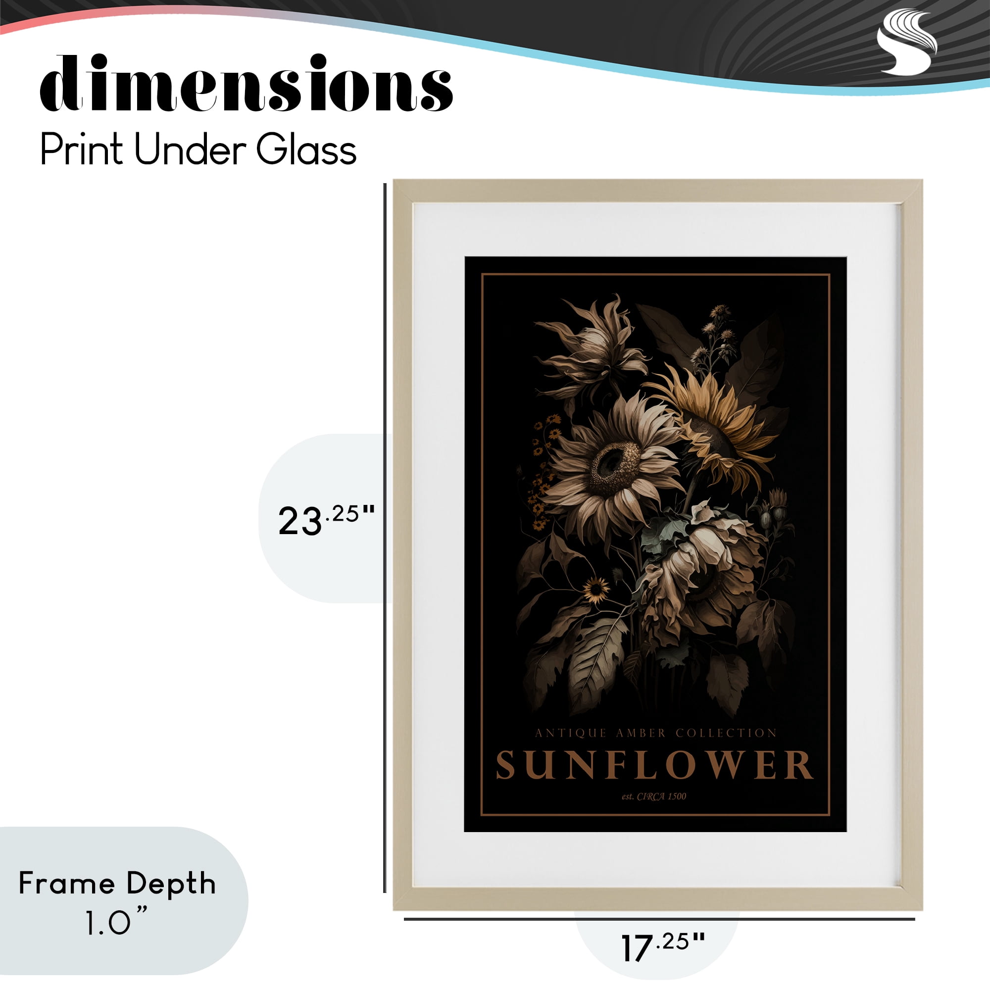 Stupell Industries Antique Sunflower Light Birch Framed Print Under Glass, design by Chris Giampietro