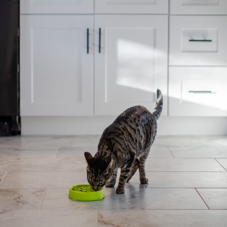 Catstages, Kitty Slow Feeder Bowl, 3/4 Cup, Green with Non-Slip Base -  Walmart.com