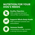 thumbnail image 5 of Iams Proactive Health Minichunks Dry Dog Food With Real Lamb & Rice, 15 Lb. Bag, 5 of 12