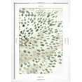 thumbnail image 5 of Art.com Green Flowerhead II Art Print by June Vess, White Frame Wall Art, 17" x 23", 5 of 5