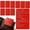 2B-B-10pcs, variant on Know Your Rights Red Card English Spanish Pocket Sized Citizenship Right Cards for Citizens Non-Citizens Assert Rights Public Residential Contacts 10PCS,B-10pcs