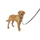 thumbnail image 1 of Arnés para perros PetSafe 3 en 1 sin tirones para perros grandes, color verde azulado, 1 of 8