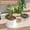 4PC, variant on Pcs Breathable Flowerpot Covers Hollow Design, Soil Protector & Pet Digging Deterrent, Indoor Outdoor Plant Pot Cover With Mesh Structure For Root Aeration, Easy Setup Soil Guard