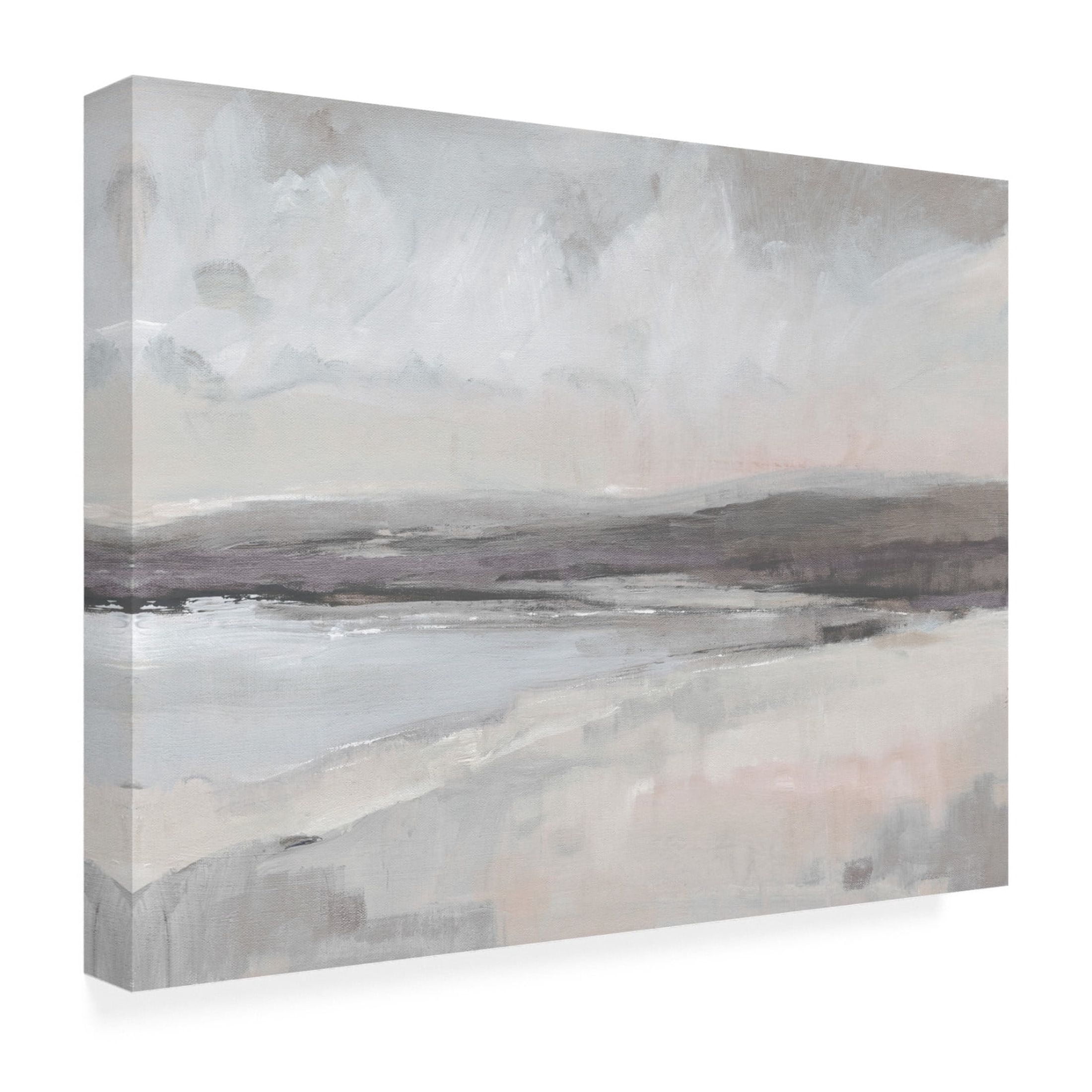 Trademark Fine Art Tim OToole  Lavender Mist Coast I Canvas Wall Art