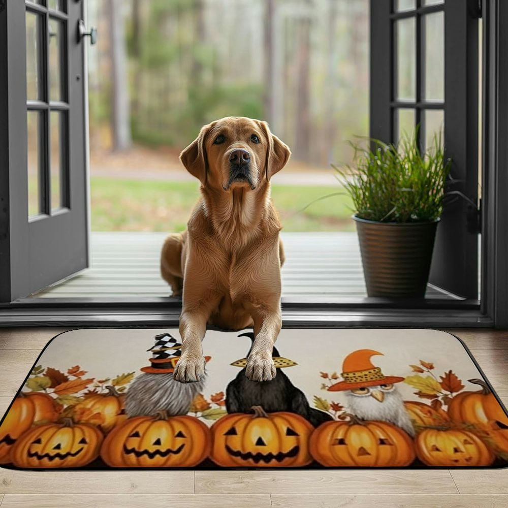 PHYHOO Thanksgiving Harvest Pumpkins Gnome Welcome Mat Front Door Mat,Absorbent Indoor Door Mats,Durable Rubber Backing Floor Doormat for Entryway,Patio,Porch,Fall Maple Leaf