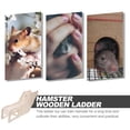 thumbnail image 3 of OUNONA  Guinea Pig Home Platform Hamster Ladder Toy Climbing, 3 of 8