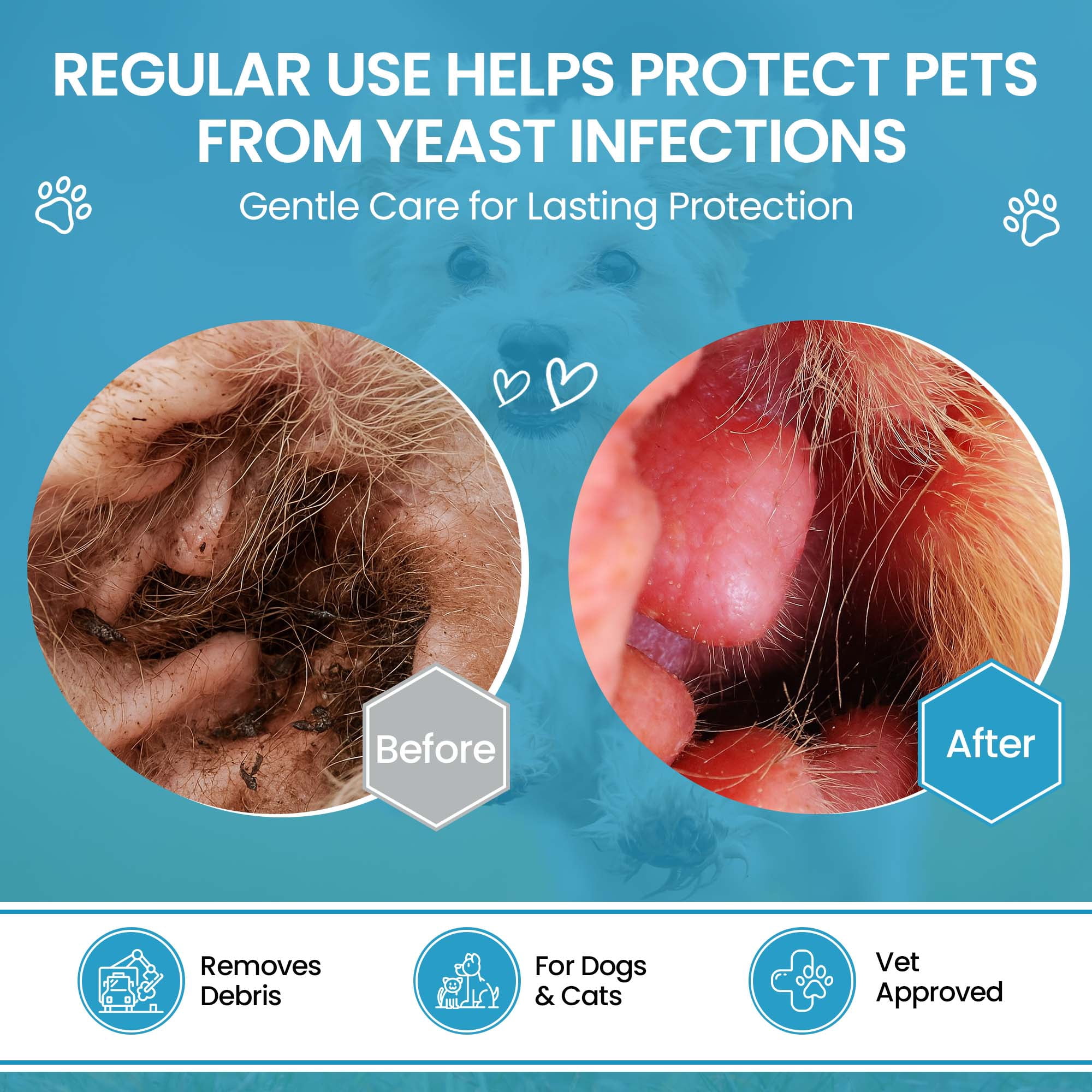 Replenish Dog Anti Itch Ear Cleaner Flush for Dogs and Cats – Advanced Ear Cleanser with Ketoconazole – Deodorizing Support – 8 oz