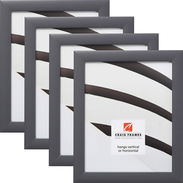 Craig Frames 23247635 Cadre Photo 18 x 24 Pouces, Gris, Ensemble de 4