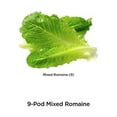 thumbnail image 2 of AeroGarden Mixed Romaine Lettuce Seed Pod Kit, 2 of 2