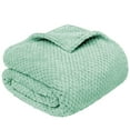 thumbnail image 2 of PAVILIA Mint Green Throw Blanket for Couch Bed, Soft Fleece Throws for Sofa Chair, Fuzzy Waffle Textured Blanket, Cozy Warm Lightweight All Season Blanket Throw, 50x60, 2 of 8