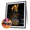 thumbnail image 2 of 5D DIY Diamond Painting Kits Full Round Drill Cat Reflection Art (A5336) Sywqhk Decoración hogareña, 2 of 9