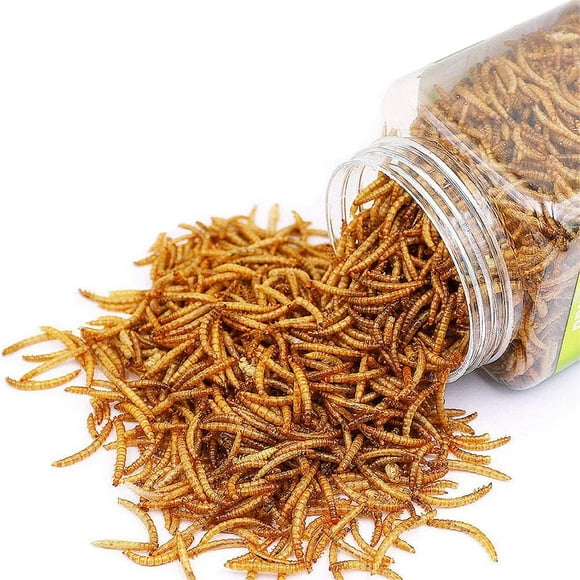 Reptile Food Dried Mealworms Pet Worms Food for Bearded Dragon, Lizard, Turtles, chameleon, Monitor, Frog, Sugar glider, chickens, Ducks, Wild Birds, Fish, Hamsters and Hedgehogs (8 OZ)