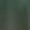 Green, variant on Fashion Casual Men Print Sports T-shirt Short Sleeve Round-Neck Blouses Shirts Athletic Stretchy Everyday Shirts Workout Tops Summer Clothes