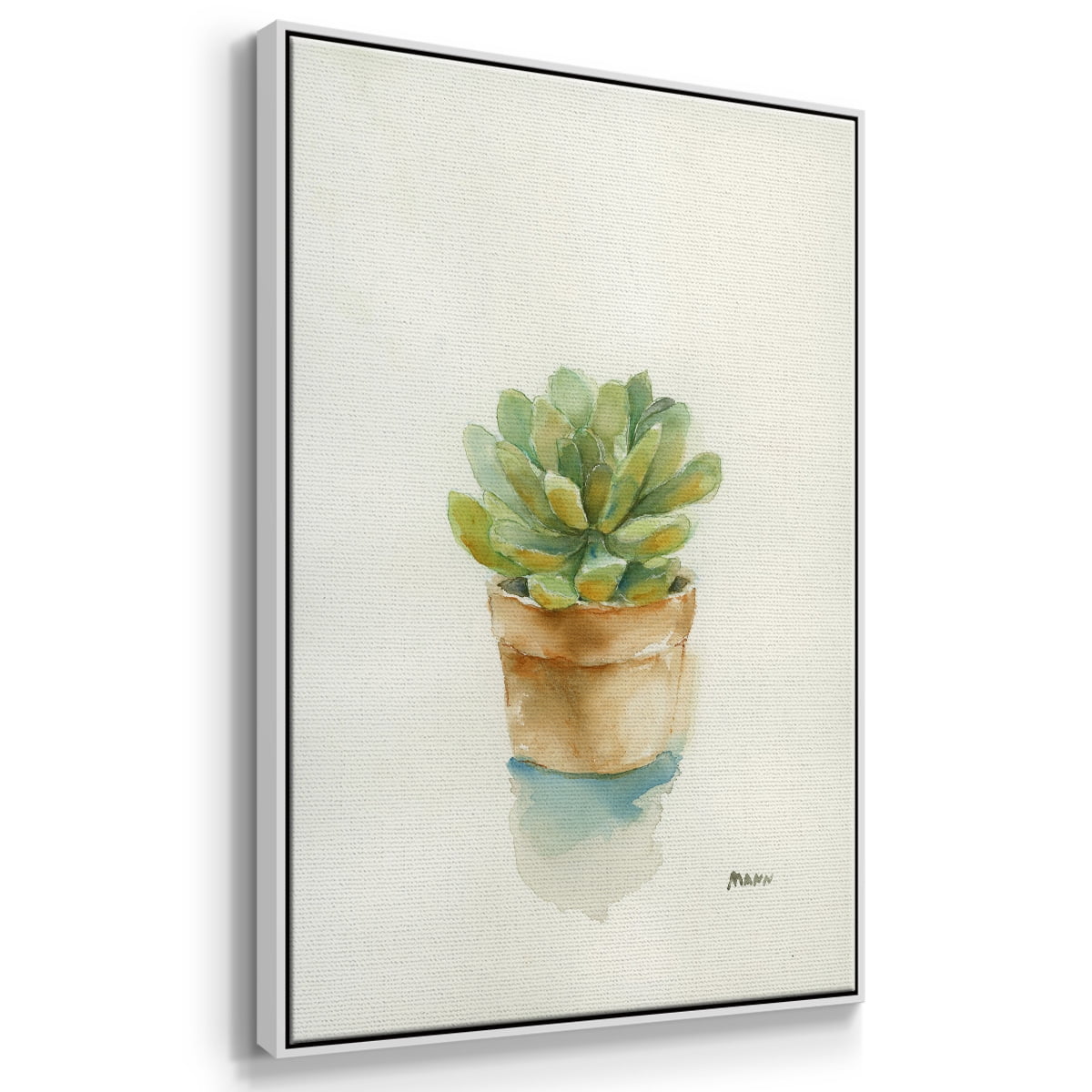 Succulent II Framed Premium Gallery Wrapped Canvas - Ready to Hang - 17 x 25 - White Floating Frame
