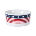 thumbnail image 2 of Bone Dry Pet Bowl Set with Flag Design for Pets, Red, White & Blue (2 Pack), 2 of 3