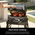 thumbnail image 3 of Ninja Woodfire Roast & Smoke Rack, Compatible with OG800 and OG900 Series, XSKRSTRKXL, 3 of 4