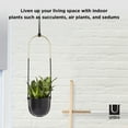 thumbnail image 4 of Umbra Bolo Hanging Planter, 4 of 14