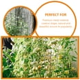thumbnail image 2 of 2Pcs Iron Design Plant Climbing Racks Creative Garden Trellis Climbing Plant Trellis, 2 of 9