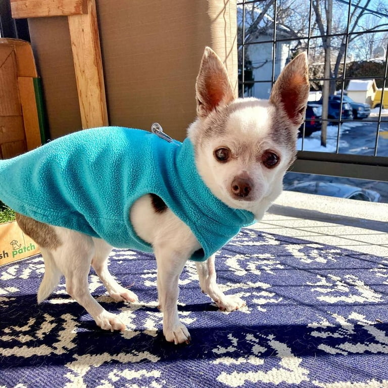 Small dog store fleece sweater