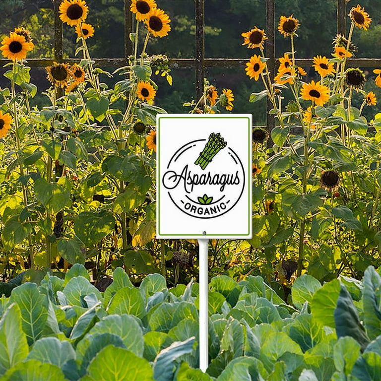 Eveokoki Vegetable Signs For Garden With Stake Asparagus Yard Sign