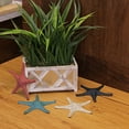 thumbnail image 3 of J.D. Yeatts 6.5 inch Coastal Cast Iron Starfish Shelf/ Table Sculptures (Set of 4), 3 of 6