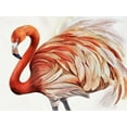 thumbnail image 2 of Earle, Cathy 32x25 White Modern Wood Framed Museum Art Print Titled - Majestic Flamingo, 2 of 4