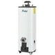 thumbnail image 1 of Calentador de Rápida Recuperación Primo Plus, IUSA, Piezoeléctrico, 12 L., Gas Natural blanco, 1 of 3