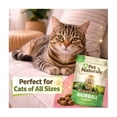 thumbnail image 6 of Pet Naturals Hairball Chews for Cats, Chicken, 160 Count, 6 of 8