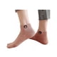 thumbnail image 5 of 10 Pares De Calcetines Cortos De Mujer Con Dibujo De Oso colores, 5 of 5
