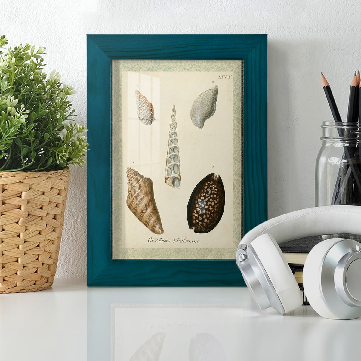 Bookplate Shells IX - Framed Print w/glass - Ocean Blue