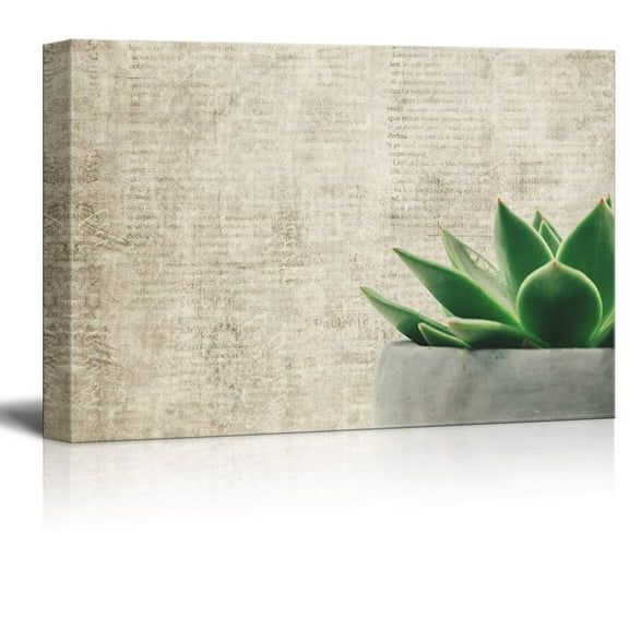 wall26 Canvas Print Wall Art - Pot of Succulent Plant on Abstract Grunge Background - Gallery Wrap Modern Home Art | Ready to Hang - 16x24 inches