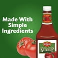 thumbnail image 2 of Ketchup Squeeze Bottle, 24 Oz (Pack Of 4), 2 of 17