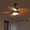 Light Brown, variant on Phorus 44″ Tropical Palm Leaf Ceiling Fan with LED Light, Quiet Reversible DC Motor, Remote & App Control, Dimmable – Indoor & Covered Outdoor Patio