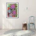 thumbnail image 3 of Taladro cuadrado completo hecho a mano 5D suculentas planta dibujo Kit DIY diamante pintura Likrtyny Arte deco, 3 of 9