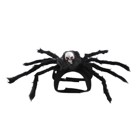 

Party Supplies for Adults 24 Araneid Skeleton Araneid Scary Scary Araneid Decorations With Indoor Outdoor Decorations Yard Home Parties Spook Room Décor