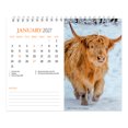thumbnail image 3 of Highland Cows | 2027 7.5x6" Double-View Easel Desk Calendar, 3 of 9