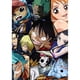 thumbnail image 1 of (One Piece-LG505) resina diamante una diamante 40*50cm, 1 of 9