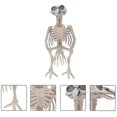 thumbnail image 4 of 2 Pcs Mini Figurine Halloween Animal Skeleton Halloween Skeleton Props Halloween Skeleton Decorations, 4 of 4
