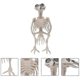 thumbnail image 4 of 2 Pcs Mini Figurine Halloween Animal Skeleton Halloween Skeleton Props Halloween Skeleton Decorations, 4 of 4