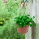 thumbnail image 4 of unbranded 2Ud Macetero Colgante De Plástico Para Plantas Con Acabado Fino Ideal Para Hogar, 4 of 8