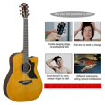 thumbnail image 3 of Guitar Bridge Pins 6pcs, Brass Endpin Pegs Fixed Cone, With Bridge Pin Puller Remover 5 Guitar Picks, 3 of 5