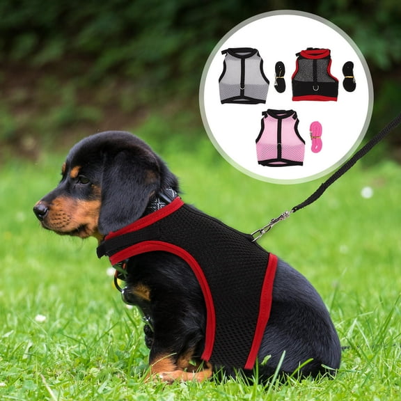 Soimiss 3Sets Rabbit Harness Leash and Vest Set Easy to Wear Pet Supplies in Assorted Colors for Outdoor Activities