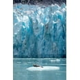 thumbnail image 2 of Souders, Paul 11x14 Black Ornate Wood Framed with Double Matting Museum Art Print Titled - Alaska-South Sawyer Harbor Seal resting on iceberg calved from Dawes Glacier in Endicott Arm, 2 of 4