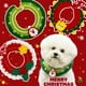 thumbnail image 2 of Christmas holly branches, Christmas cat dog yarn crochet collars, rabbit collars, party pet accessories, outdoor collars - M (25-30cm), 2 of 5