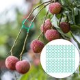 thumbnail image 4 of Garden Plant Support Clips for Climbing Vines Tomato Flower Lever Loop Clamp, 4 of 9