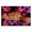 Glam Floral Canvas, variant on Stupell Industries Bohemian Fashion Brand Purple Flowers Black Floating Frame Canvas Art, 21 x 17, by Amelia Noyes