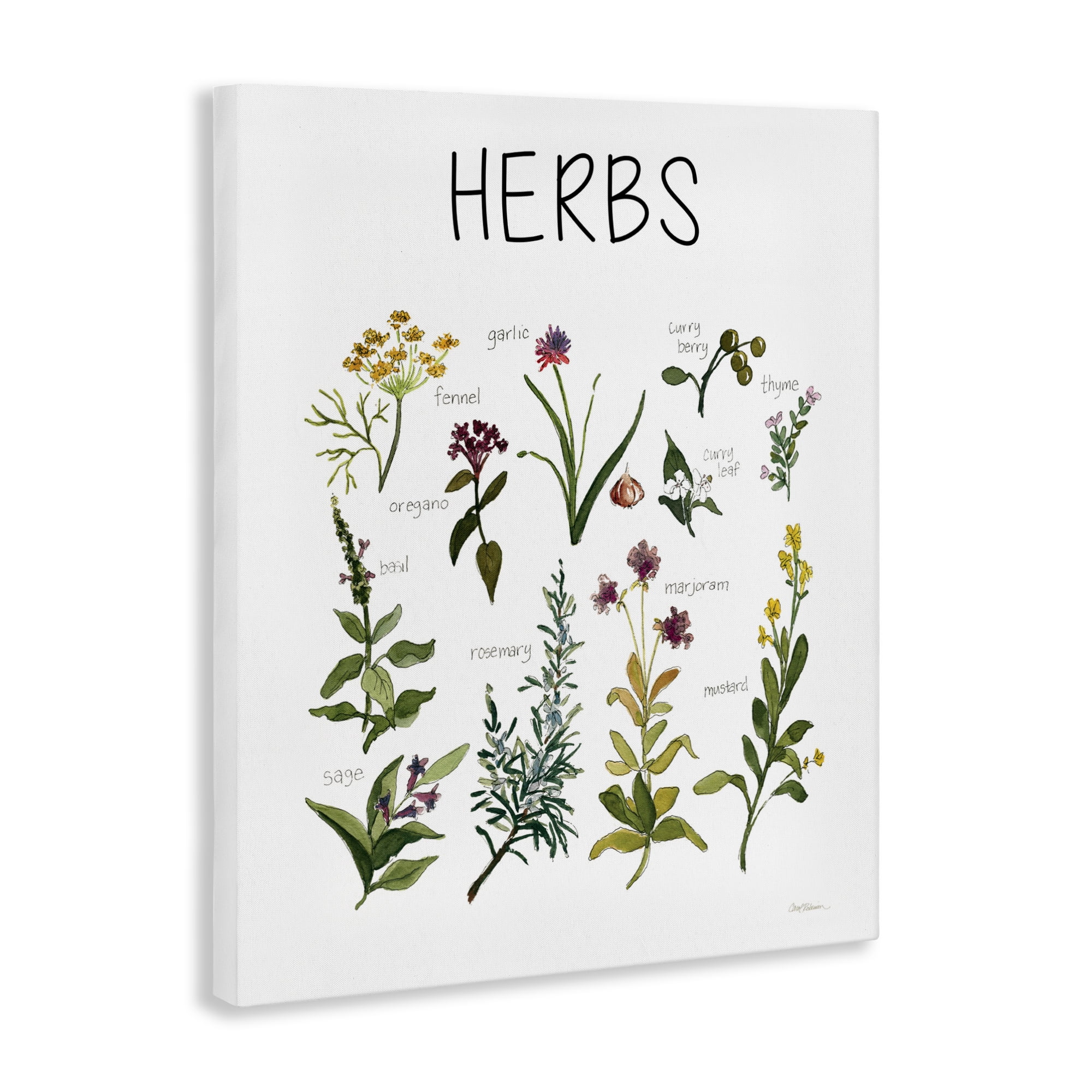 Stupell Industries Herbs Identification Chart Canvas Wall Art, design by Carol Robinson
