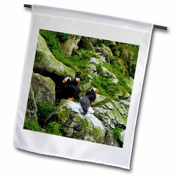 3dRose, Alaska, Glacier Bay NP, Horned puffin birds - US02 JGI0240 - Jerry Ginsberg, 12 x 18 inch Garden Flag