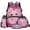 Axolotl Cherry Blossom, variant on Pink Axolotls Kids Backpack Set 4Pcs with Portable Lunch Bag Multifunctional Pencil Case Water Bottle Bag Carrier Lightweight Bookbag for Elementary Middle School