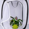 thumbnail image 5 of Butterfly Habitat Insect Cage Mesh Butterfly Cages Pop-up Collapsible Insect Mesh Cage Plant Greenhouse Box Plant Net Cloth, 5 of 8